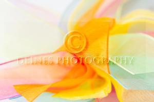 colorful bow close-up